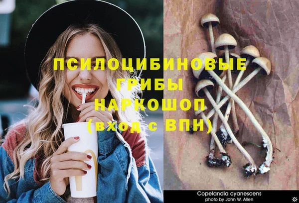 экстази Няндома